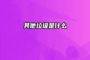 其他垃圾是什么