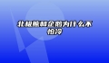 北极熊和企鹅为什么不怕冷