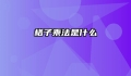 格子乘法是什么