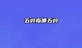 五岭指哪五岭