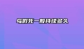 鸟假死一般持续多久