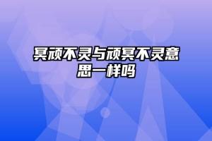 冥顽不灵与顽冥不灵意思一样吗