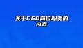 关于CEO岗位职责的内容