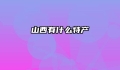 山西有什么特产