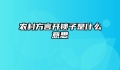 农村方言开锁子是什么意思