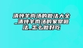 清炖羊肉汤的做法大全_清炖羊肉汤的家常做法_怎么做好吃