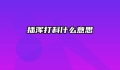 插浑打科什么意思