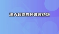 澳大利亚四种著名动物