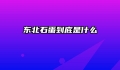 东北石蛋到底是什么