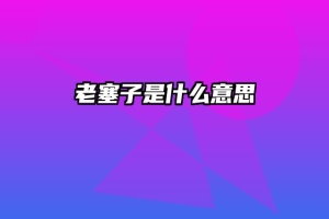 老塞子是什么意思