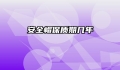 安全帽保质期几年