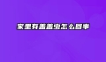 家里有盖盖虫怎么回事