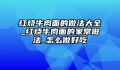 红烧牛肉面的做法大全_红烧牛肉面的家常做法_怎么做好吃