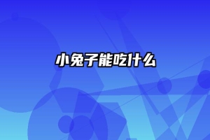 小兔子能吃什么