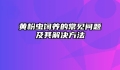 黄粉虫饲养的常见问题及其解决方法