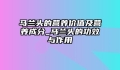 马兰头的营养价值及营养成分_马兰头的功效与作用