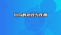 川乌的功效与作用