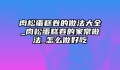 肉松蛋糕卷的做法大全_肉松蛋糕卷的家常做法_怎么做好吃