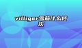 villiger雪茄什么档次