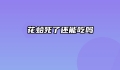 花蛤死了还能吃吗