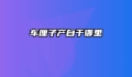 车厘子产自于哪里