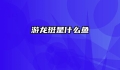 游龙斑是什么鱼