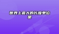 世界上最大的长度单位是