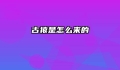 古猿是怎么来的