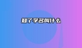 知了学名叫什么