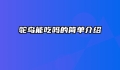 鸵鸟能吃吗的简单介绍