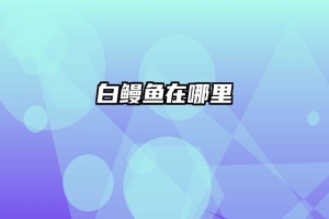 白鳗鱼在哪里