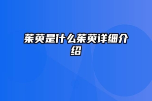 茱萸是什么茱萸详细介绍