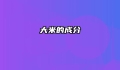 大米的成分