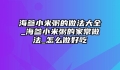 海参小米粥的做法大全_海参小米粥的家常做法_怎么做好吃