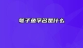 敏子鱼学名是什么