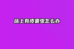 床上有皮囊虫怎么办