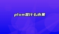 plum是什么水果