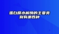 蛋白质水解酶的主要类别有哪四种