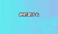 种脐是什么