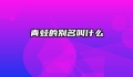 青蛙的别名叫什么