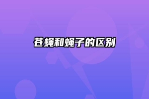 苍蝇和蝇子的区别