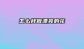 怎么样做漂亮的花