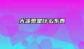 大菠萝是什么东西