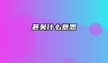 甚矣什么意思