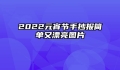 2022元宵节手抄报简单又漂亮图片