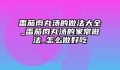 番茄肉丸汤的做法大全_番茄肉丸汤的家常做法_怎么做好吃