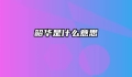 韶华是什么意思