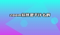 zoom软件是干什么的