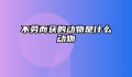 不劳而获的动物是什么动物