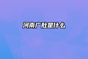 河南广肚是什么